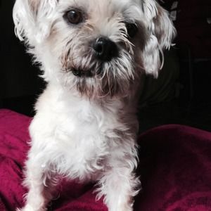 Meet your Posher, Catherine